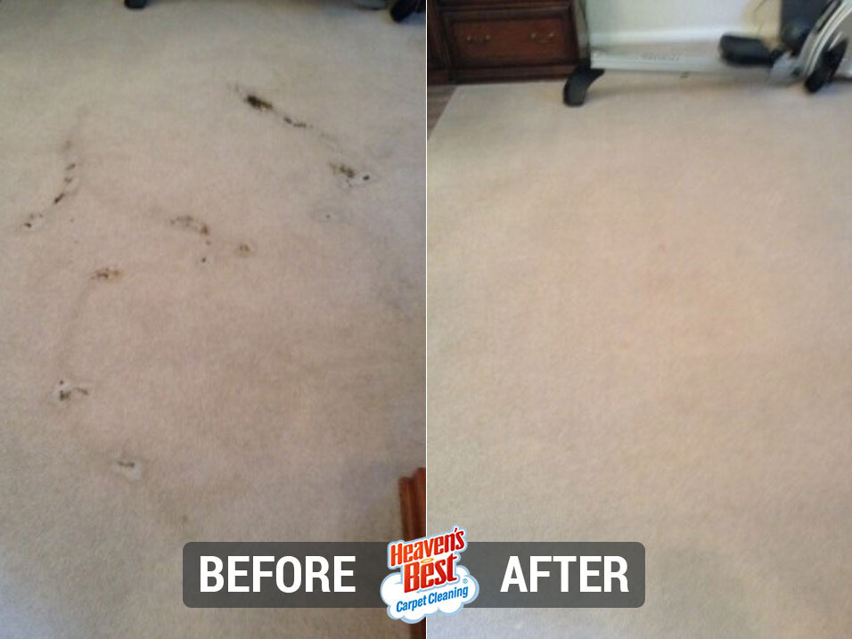 Heaven's Best Carpet Cleaning NW Valley