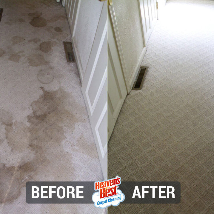 Heaven's Best Carpet Cleaning NW Valley